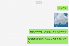 大通如何避免债务纠纷？专业追讨公司教您应对之策